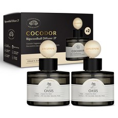 코코도르 프리미엄 빅우드볼 차량용 디퓨저 130ml 2개입, 오아시스, 1세트