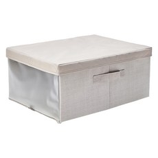 JAJU 옷장이 깔끔해지는 윈도우 뚜껑 수납함, JAJU 옷장이 깔끔해지는 윈도우 뚜껑 수납함_38x5, 베이지