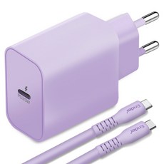 ender Type-C GaN 超高速充電器 25W PD3.0 PPS + Type-C to Type-C 傳輸線 2m 套組, 紫色, 1套