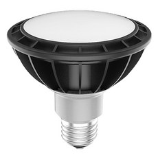 JangsuLamp Meliving PAR30 擴散型 LED燈泡 15W 調光型 可兼容調光器, 1個, 燈泡色