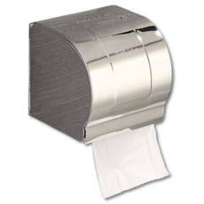 Skywiz 不鏽鋼擦手巾架, 銀色, 1個