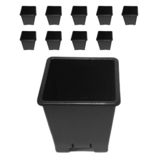 Eco Square Black Pot 塑膠方形花盆, 黑色, 10個