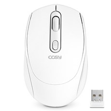 코시 C타입 충전식 듀얼 멀티 무소음 블루투스 무선 마우스, 화이트, M4141WLBT