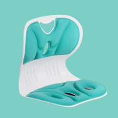 고급형 바른자세 편안한 쿠션 공부의자, MIT Mint