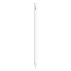 Apple 애플 펜슬 2세대 MXN43KH/A, 1개