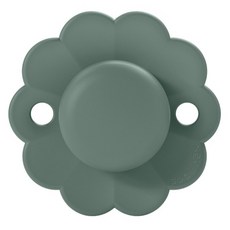 suavinex 蘇維妮 嬰幼兒用 Wonder 母乳實感安撫奶嘴, 第1階段(0~6個月), 迷霧綠, 1個