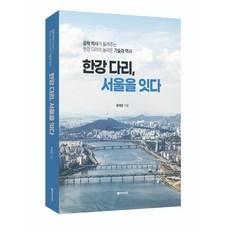 한강 다리 서울을 잇다:공학 박사가 들려주는 한강 다리의 놀라운 기술과 역사, 동아시아, 윤세윤