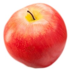플라워트리 사과 모형과일, 레드