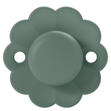 suavinex 蘇維妮 Wonder 母乳實感安撫奶嘴, 第2階段(6個月以上), 迷霧綠, 1個