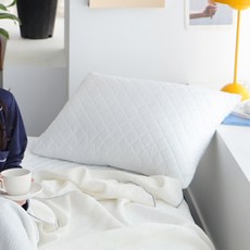 베이직톤 진드기케어 통세탁 호텔 베개, 화이트, 1개
