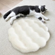 데이소이 고양이 럭셔리 원형 쿠션, 16화이트, 1개