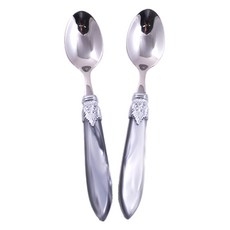 RIVADOSSI SANDRO Laulashine 茶匙 灰色, 2個, 單品