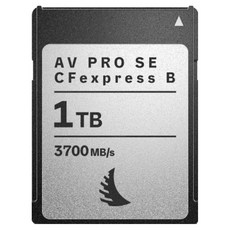 ANGELBIRD AV PRO SE CFexpress 4.0 Type B記憶卡, 1個, 1TB