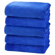 DAILYSHARE 車用家用超細纖維清潔毛巾 藍色, 5個