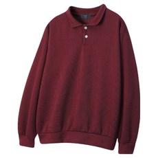 Freestyle 男士雙鈕扣翻領針織套頭衫 HRCM_천무열