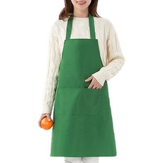 헬로젬 코스트 손님용 포켓 목걸이형 앞치마, 그린, 1개