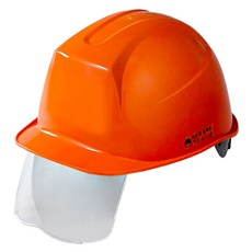 DONGMYUNG 工地頭部防護 新型護目鏡安全帽 DMS-D-3001SH, 1個