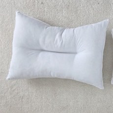 달숨 지퍼형 마이크로 낮은 경추베개솜, 화이트, 1개