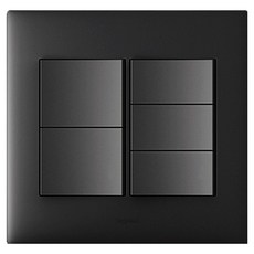 Legrand 羅格朗 Apella Simple 雙聯用 5開關 黑色, 1個
