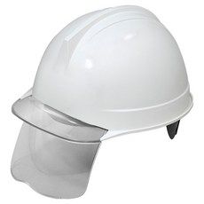 DONGMYUNG 建築工地 工地 頭部保護 ABE盔型 透明面罩 護目鏡 安全帽 象牙白, 1個