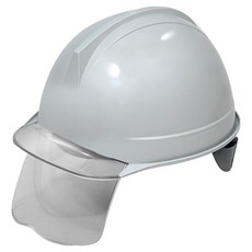 DONGMYUNG 建築工地 施工現場 頭部保護 ABE 頭盔型 透明視窗 護目鏡 安全帽 DMS-D-3001SH, 1個, 灰色