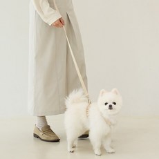 Mute 狗狗 H型胸背帶 + 免持牽繩套組, 1個, 象牙白