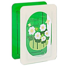 Homeflow 桌上型室內水培花卉印花壓克力花瓶, 雛菊