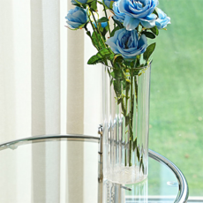 The Flow Commerce 透明壓克力簡約直筒設計花瓶, A