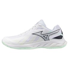 Mizuno 美津濃 WAVE FANG EL 2 羽球鞋 71GA242315