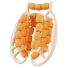 원티크 29휠 마사지 롤러, 오렌지, 1개