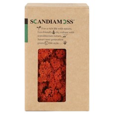 SCANDIAMOSS 空氣淨化植物 苔蘚 150g, 赭色, 1個