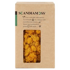SCANDIAMOSS 空氣淨化植物 苔蘚 黃色 150g, 1個