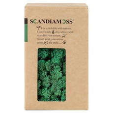 SCANDIAMOSS 空氣淨化植物苔蘚太平洋綠 150g, 太平洋綠, 1個