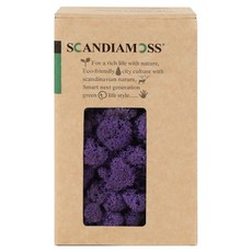 스칸디아모스 공기정화식물 이끼 퍼플 150g, 1개