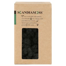 스칸디아모스 공기정화식물 이끼 블랙 150g, 1개