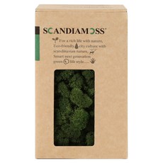 SCANDIAMOSS 空氣淨化植物苔蘚綠色 150g, 5號 苔綠色