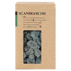 스칸디아모스 공기정화식물 이끼 아이스블루 150g, 1개