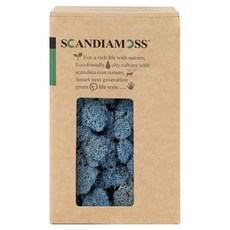 SCANDIAMOSS 空氣淨化植物 苔蘚 薰衣草藍 150g, 1個