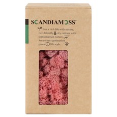 SCANDIAMOSS 空氣淨化植物 苔蘚 粉紅色 150g, 1個