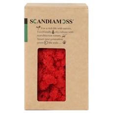 SCANDIAMOSS 空氣淨化植物苔蘚紅色 150g, 1個