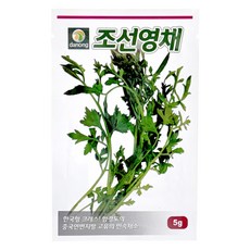 다농 조선영채 씨앗 5g, 1개