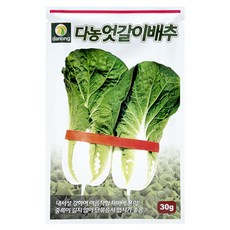 다농 엇갈이배추 씨앗 30g, 1개