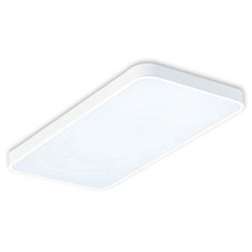 LED 路易客廳燈 60W, 白色 + 晝光色