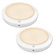 LED 智慧圓形感應燈 15W, 2個, 白色 + 燈泡色