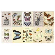 Inart 牆面裝飾 復古風情相片明信片 10款套組, 1套, 復古蝴蝶裝飾