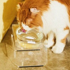 우다다맨숀 고양이 아크릴 식기 1구, 클리어, 1개