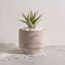 비레오 빈티지 플랜트 팟 화분, 베이지, 1개
