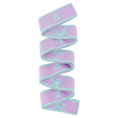 코어가드 헬스 트레이닝 탄성저항밴드, 퍼플, 1개