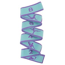 Core Guard 健身訓練彈性阻力帶, 藍色, 1個