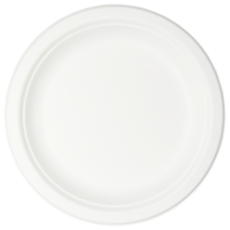 Papyrus 免洗甘蔗漿派對盤 白色 15cm P-004, 50入, 1個